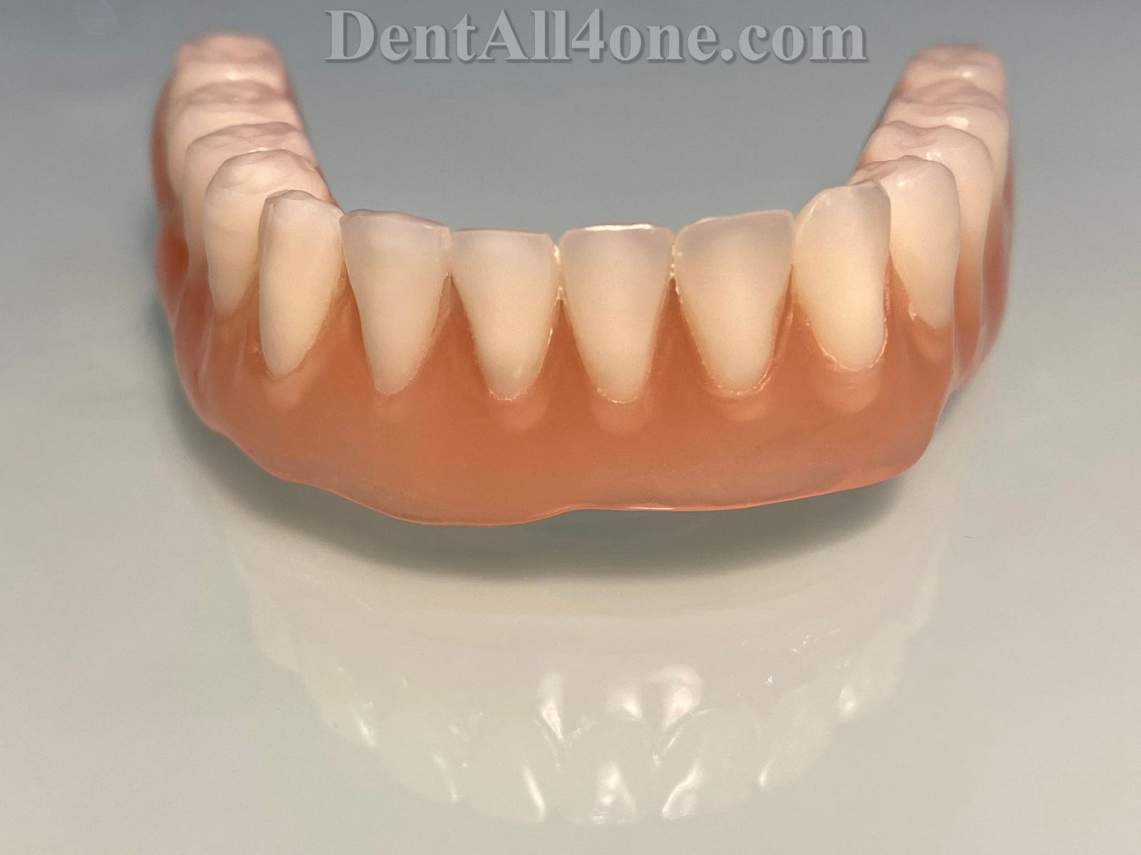 Vollprothese 2 - www.dentall4one.com